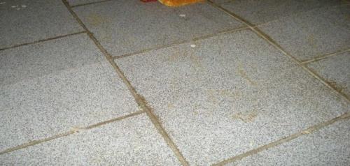 Можно ли класть плитку на дерево. Сложности при укладке плитки