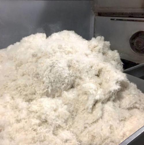 Бамбуковое или эвкалиптовое одеяло. Какие одеяла лучше покупать: обзор наполнителей