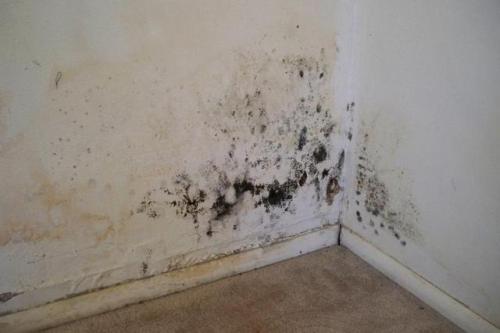 Укладка керамической плитки своими руками от А до Я. Подготовка поверхностей к отделке 02 Укладка керамической плитки своими руками от А до Я. Подготовка поверхностей к отделке 02