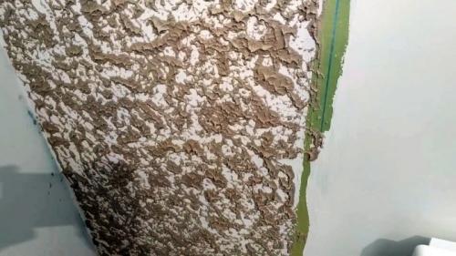 Декоративная штукатурка Гротто своими руками из шпаклевки. Техника создания фактуры Гротто