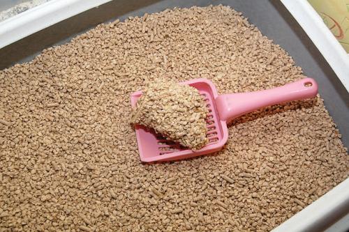 Бамбуковый наполнитель для кошек. Полное руководство по выбору наполнителя для кошачьего туалета