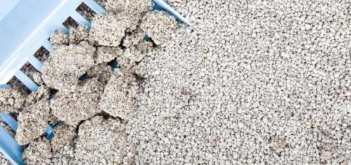 Бамбуковый наполнитель для кошек. Полное руководство по выбору наполнителя для кошачьего туалета