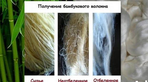 Ткань бамбук тянется или нет. 2 метода производства волокна из бамбука