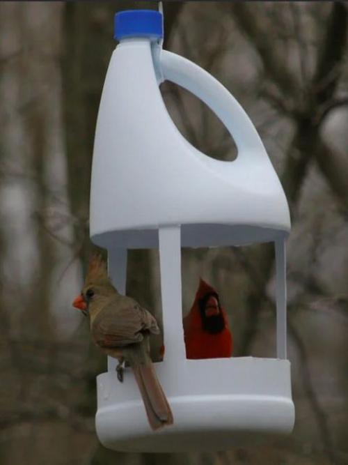 Кормушка для птиц из палочек для суши. Кормушка для птиц, сделанная своими руками из подручных материалов