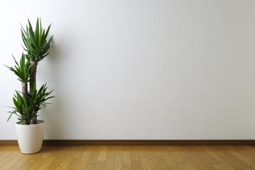 Как клеить обои на краску. Масляная краска и её условия