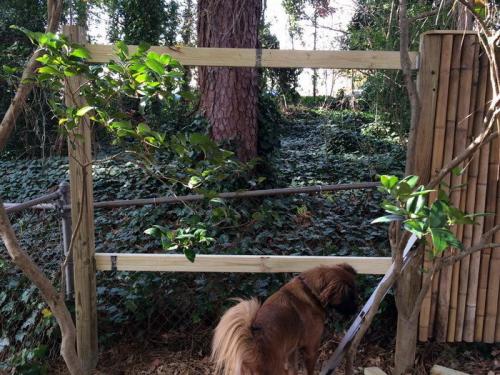 Изделия из бамбука своими руками для дома. Особенности мебели из бамбука 11 Изделия из бамбука своими руками для дома. Особенности мебели из бамбука 11