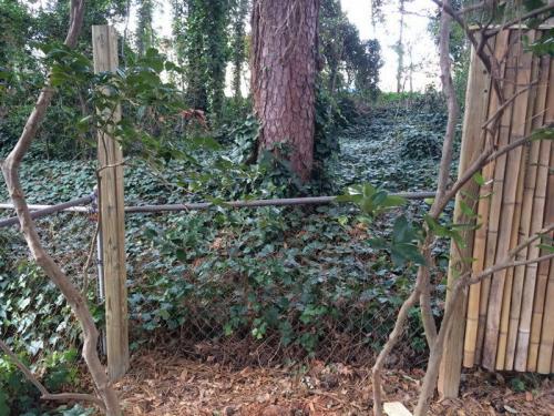 Изделия из бамбука своими руками для дома. Особенности мебели из бамбука 04 Изделия из бамбука своими руками для дома. Особенности мебели из бамбука 04