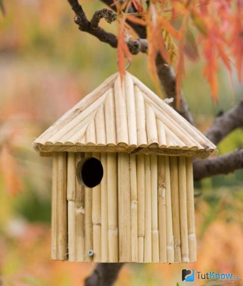 Бамбук декор своими руками. Особенности мебели из бамбука 04