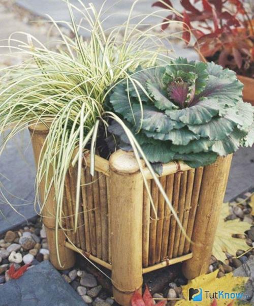 Бамбук декор своими руками. Особенности мебели из бамбука 05