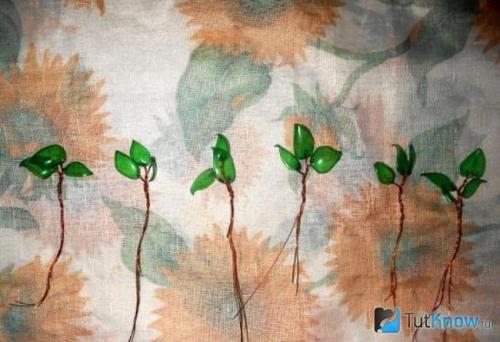 Имитация бамбука для стен своими руками. Бамбуковая стена своими руками 15