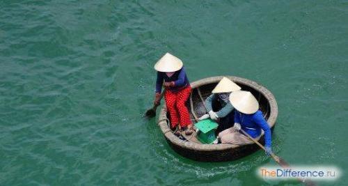 Что можно сделать из бамбука. Бамбук, как строительный материал