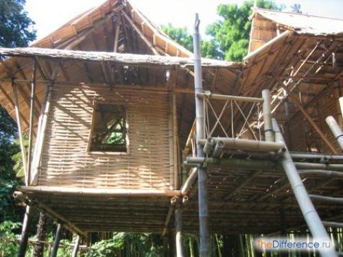 Что можно сделать из бамбука. Бамбук, как строительный материал