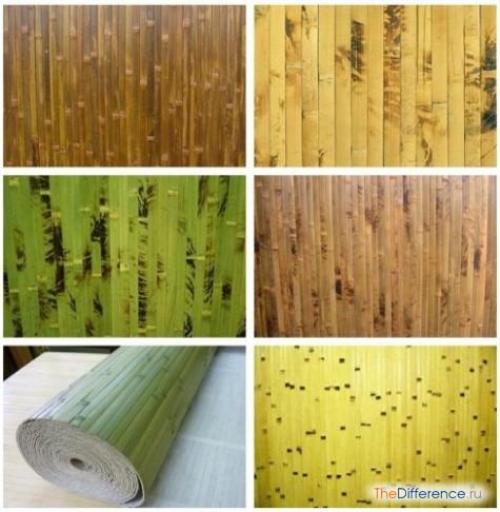 Что можно сделать из бамбука. Бамбук, как строительный материал