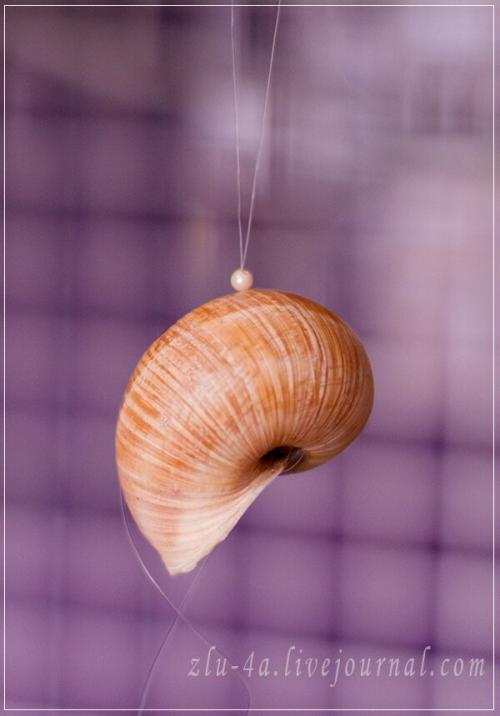 Музыка ветра своими руками из ракушек. 06