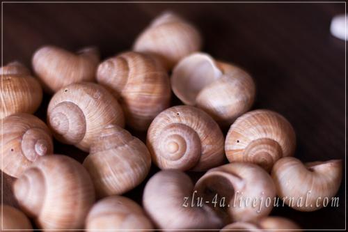 Музыка ветра своими руками из ракушек. 02