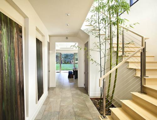 Бамбук комнатное растение, как закрутить. Комнатный бамбук: уход и размножение 15