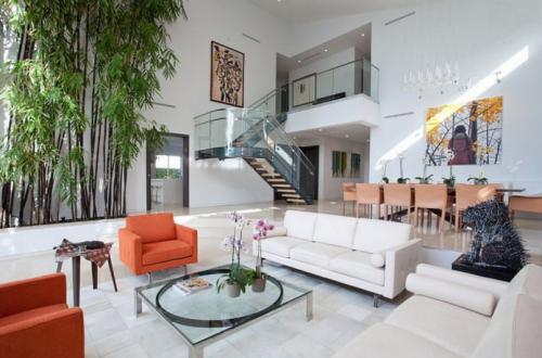 Бамбук комнатное растение, как закрутить. Комнатный бамбук: уход и размножение 14