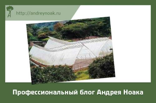 Что можно сделать из бамбука. Что делают из бамбука