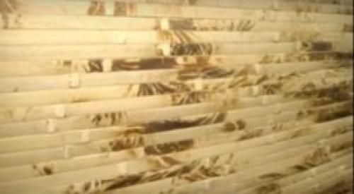 Панели из бамбука для стен для внутренней отделки. Преимущества и недостатки