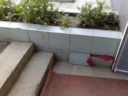 Чем приклеить отвалившуюся плитку на улице. Почему на крыльце отпадает плитка и как с этим бороться?