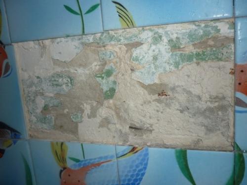 Отошла плитка в ванной, чем приклеить. Чем приклеить плитку в ванной если она отвалилась