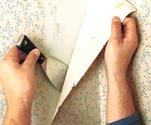 Профессиональная поклейка обоев. Как клеят обои профессионалы и новички — 10 важных отличий