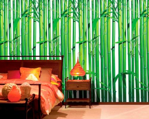 Обои с рисунком бамбука в интерьере. Положительные свойства и преимущества