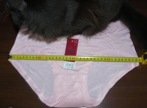 Ткань бамбук трусы. Женские трусы из бамбукового волокна.