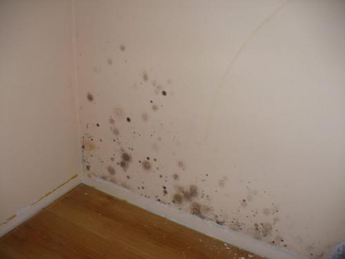 Можно ли клеить обои на масляную краску на стене. Можно ли клеить флизелиновые обои на краску и как правильно это делать?