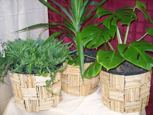 Лайфхаки из палочек для суши. Для любителей роллов: 7 идей, куда деть японские палочки для еды после их использования