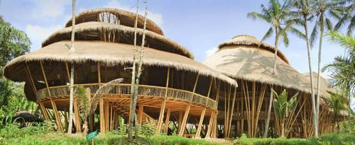 Бамбук в строительстве и отделке. Указания 03 Бамбук в строительстве и отделке. Указания 03