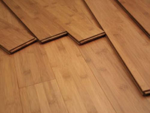 Полезная информация о бамбуке. Бамбук. Интересные факты об удивительном растении 13 Полезная информация о бамбуке. Бамбук. Интересные факты об удивительном растении 13